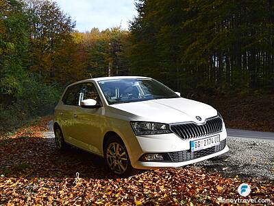 Fiat Punto in Forest in Serbia