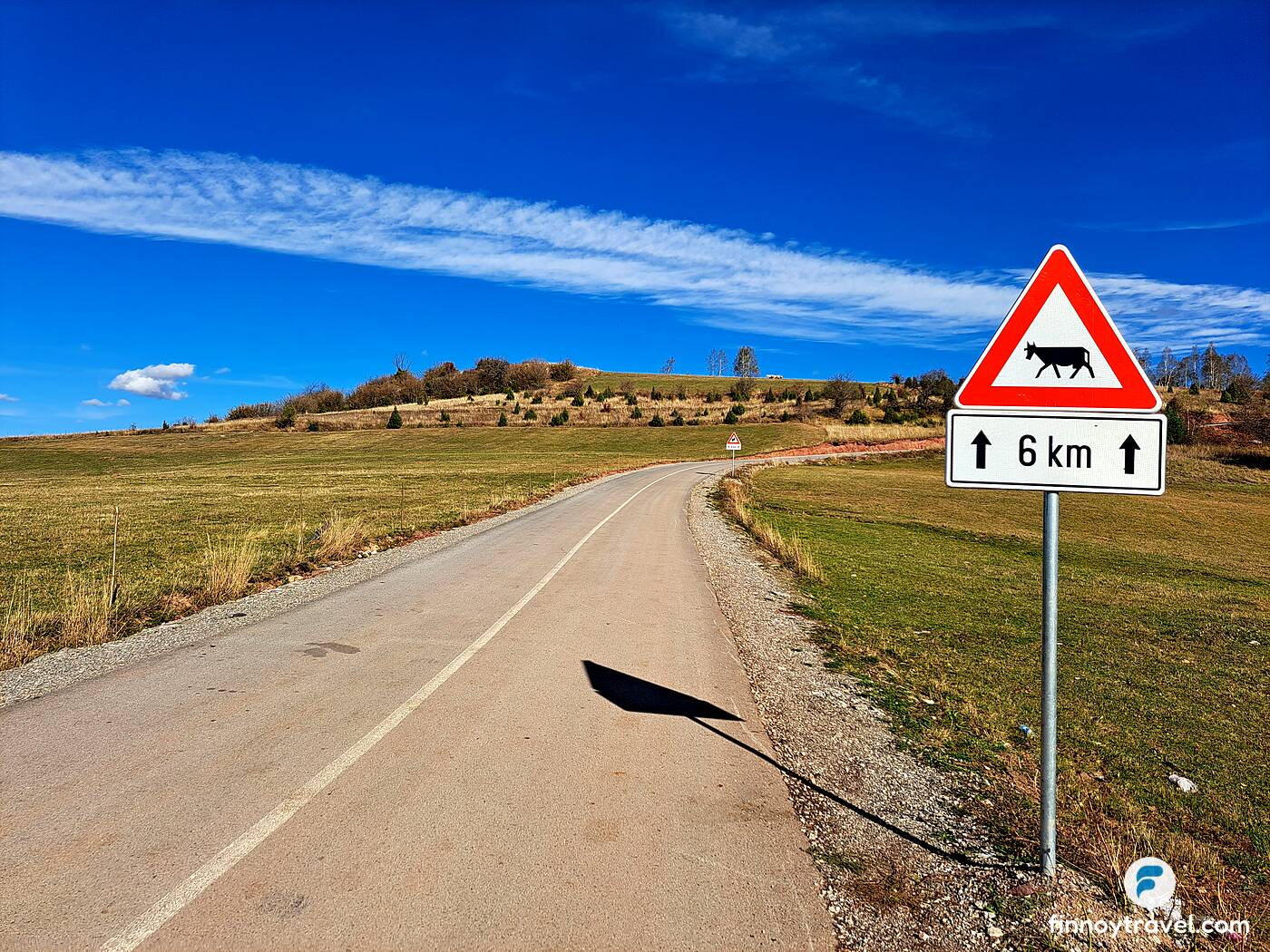 Warning signs of cows