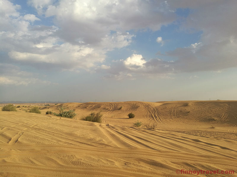 Desert safari at Dubai
