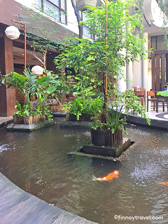 pool and plants
