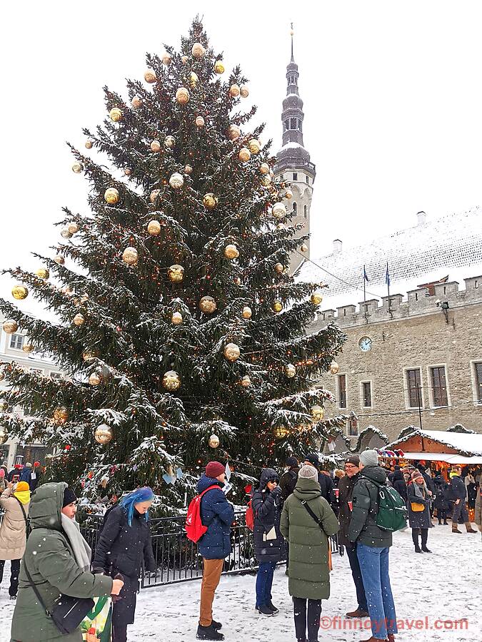 Joulukuusi Tallinnan vanhassakaupungissa