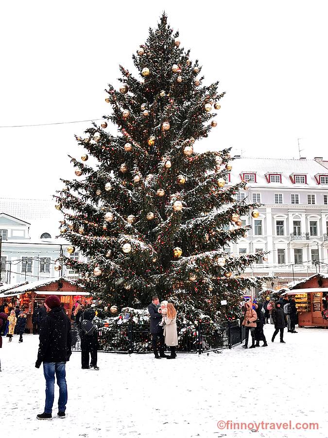 Christmas tree at the Tallinn Old Town