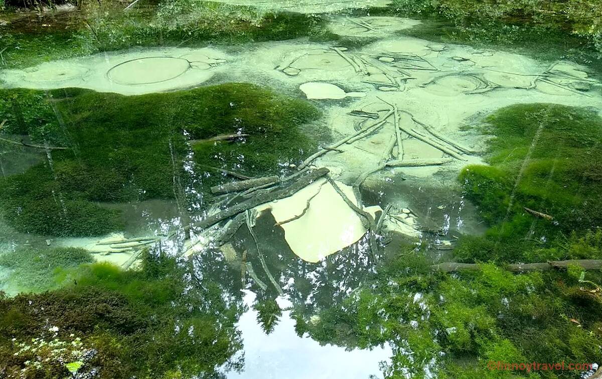 Saula Siniallikad の空からの眺め