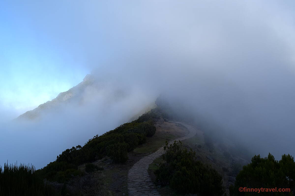 霧に包まれたPR1.2のトレイル