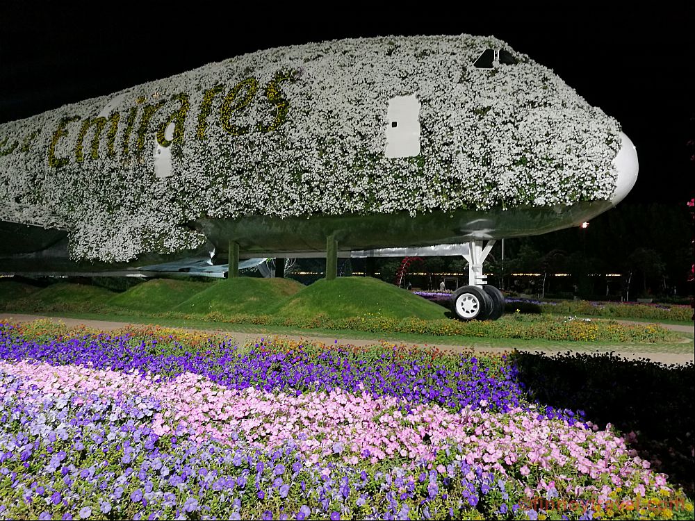 Nariz do Airbus A380 no Dubai Miracle Garden