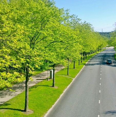 Primavera na Finl&acirc;ndia