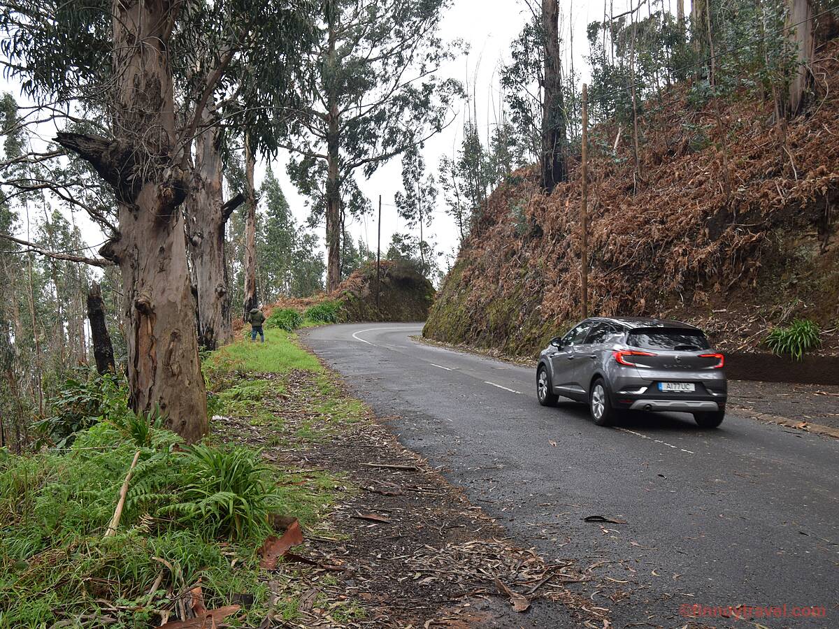 Floresta nas montanhas