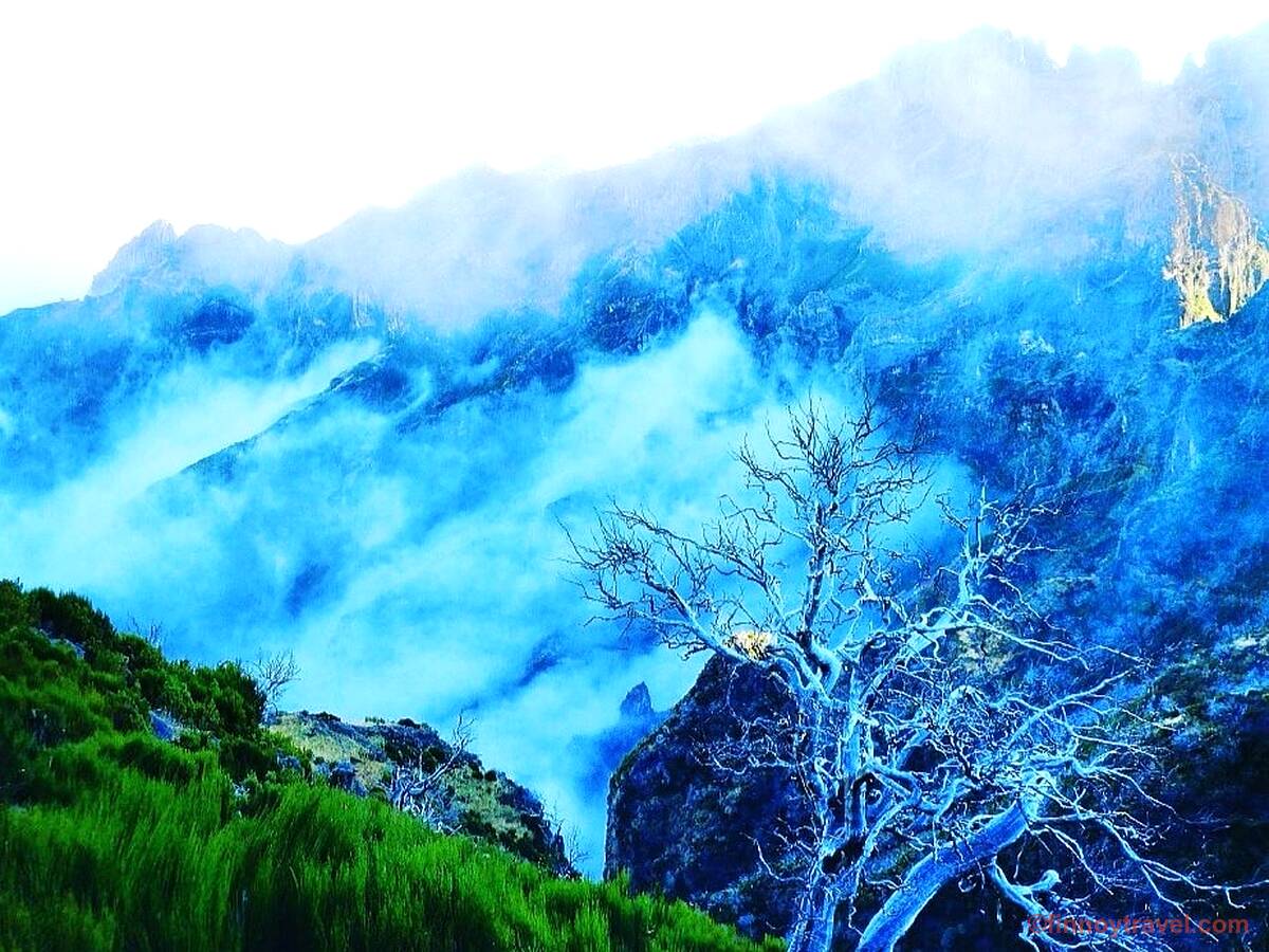 Uma foto de natureza tirada a caminho do Pico Ruivo