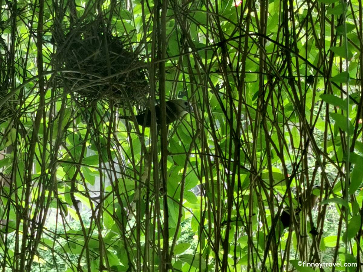 A vista do nosso quarto no Swiss-Belhotel Rainforest Kuta