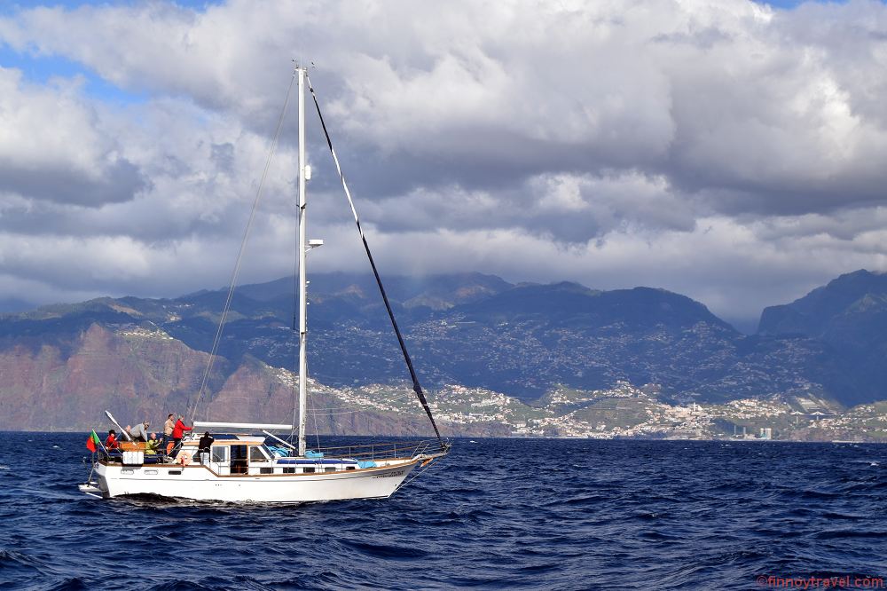 Barco de observa&ccedil;&atilde;o de baleias.