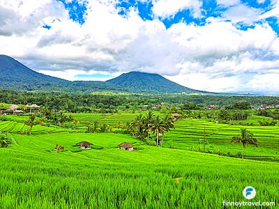 Hagdan-hagdang palayan ng Jatiluwih sa Bali