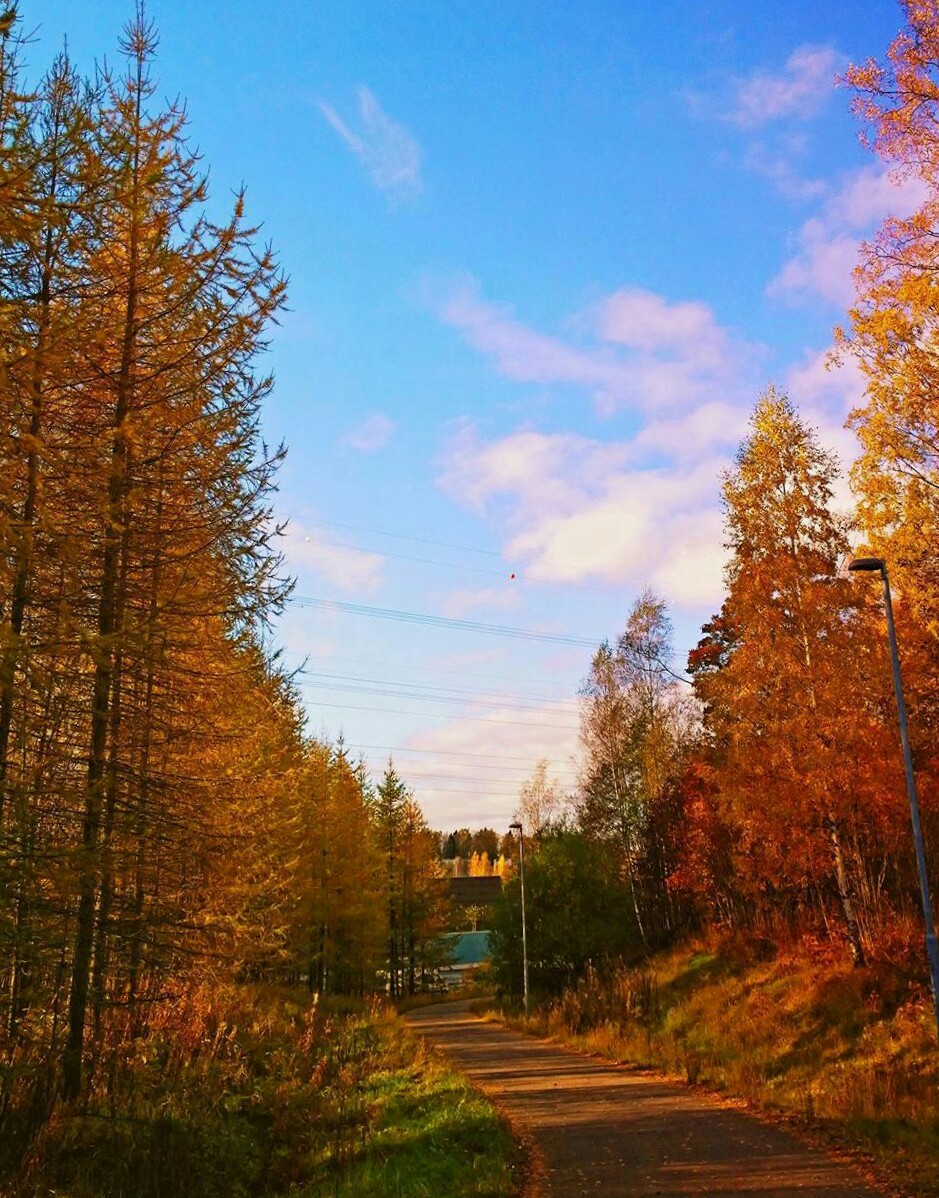 Finland sa taglagas, panahon ng Ruska