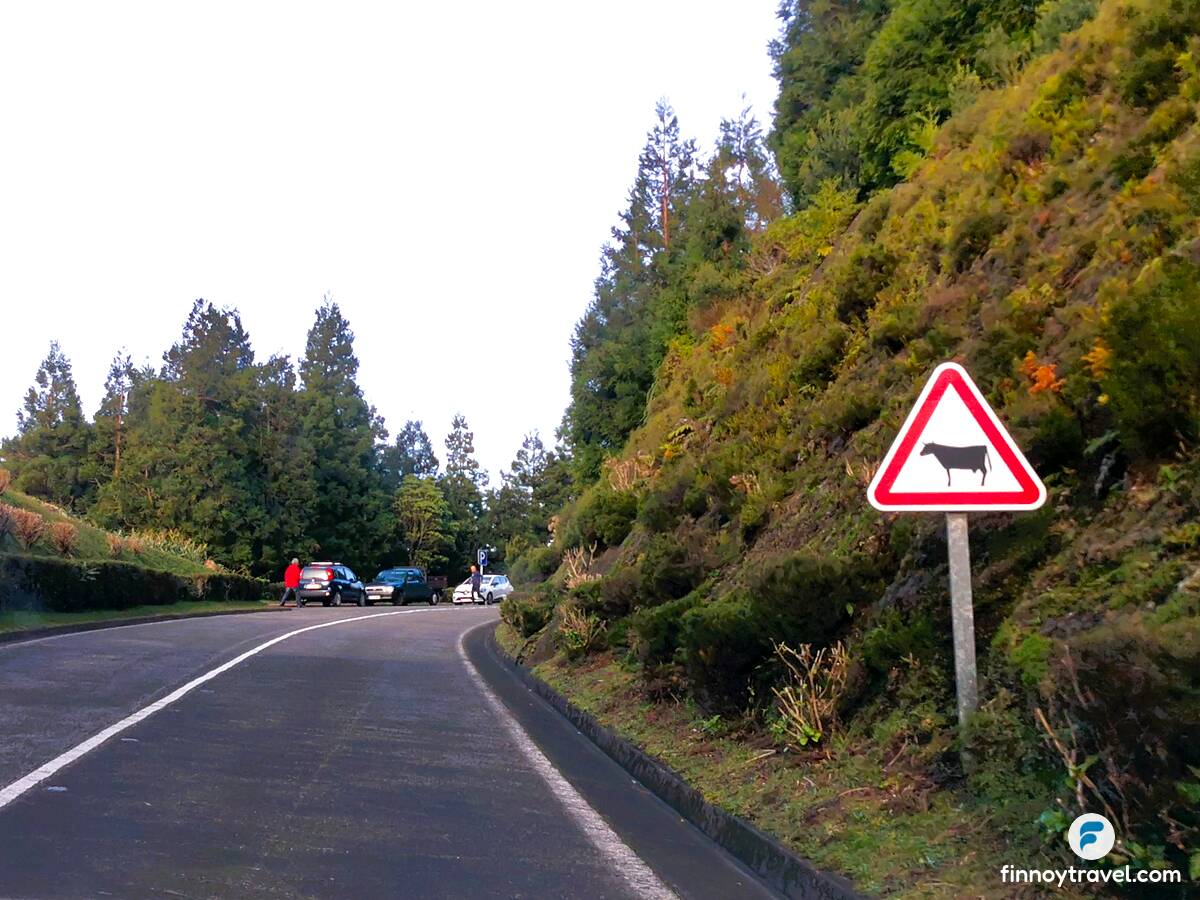 Karatulang babala sa mga baka