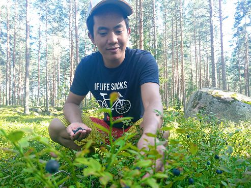 Pamimitas ng mga berry sa Finland