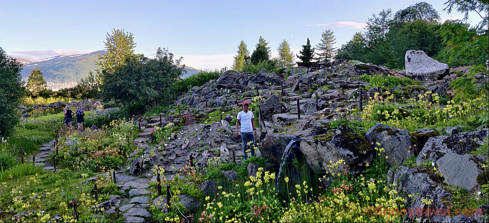 Harding botanikal sa Tromso