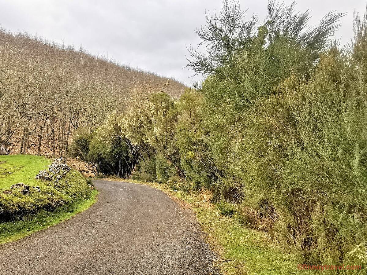 Isang makitid na kalsada sa Madeira