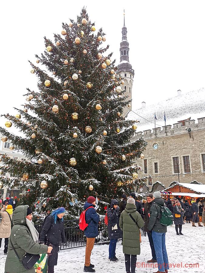 Puno ng Pasko sa Lumang Bayan ng Tallinn