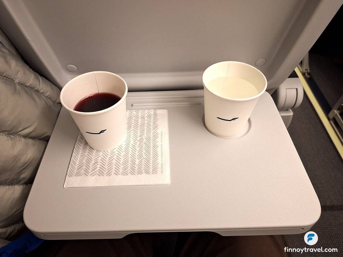 tubig at katas ng blueberry